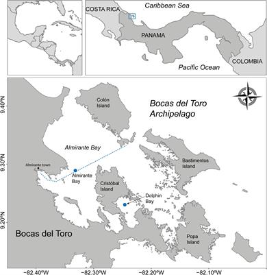 Dolphin-Watching Boats Affect Whistle Frequency Modulation in Bottlenose Dolphins